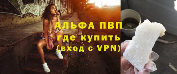 гидра Алексин