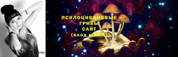 гидра Алексин