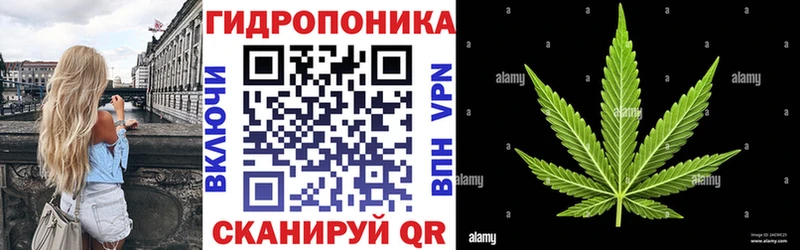 Марихуана марихуана  Нурлат 